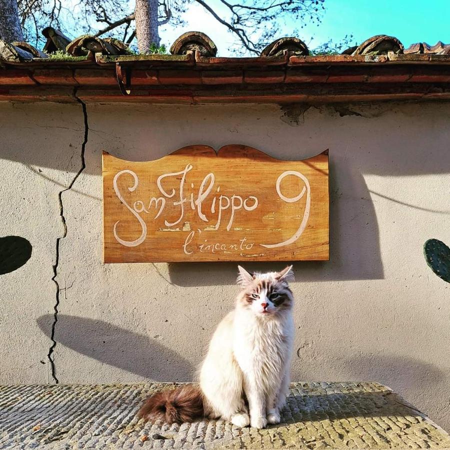 Villa San Filippo أريتسو المظهر الخارجي الصورة